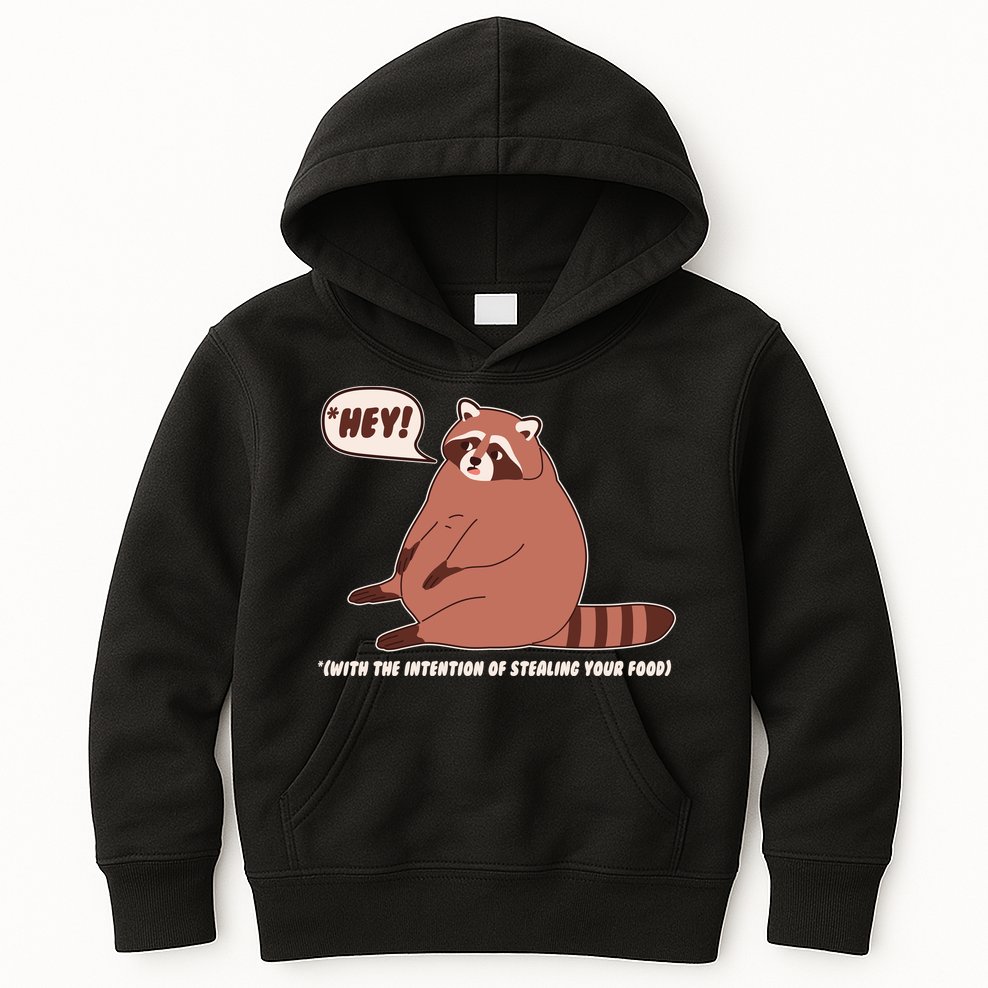 Funny Hey Fat Raccoon Stealing Your Food Kids Hoodie