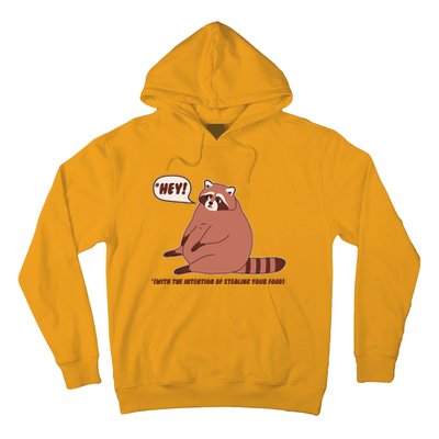 Funny Hey Fat Raccoon Stealing Your Food Hoodie