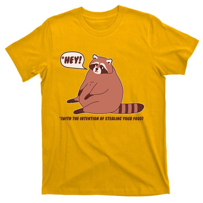 Funny Hey Fat Raccoon Stealing Your Food T-Shirt