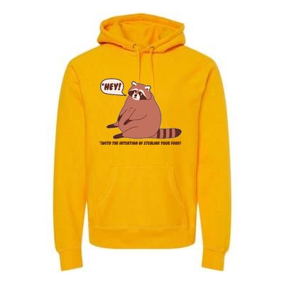 Funny Hey Fat Raccoon Stealing Your Food Premium Hoodie