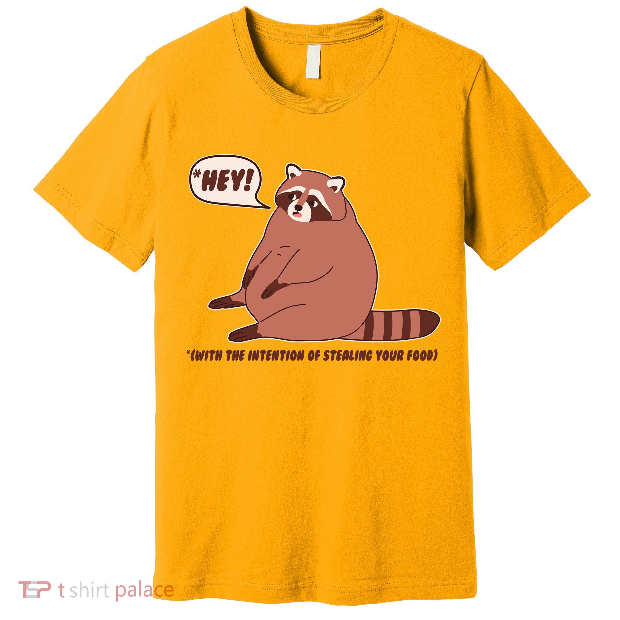 Funny Hey Fat Raccoon Stealing Your Food Premium T-Shirt