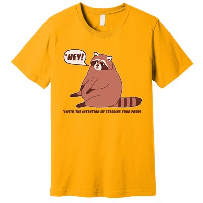 Funny Hey Fat Raccoon Stealing Your Food Premium T-Shirt