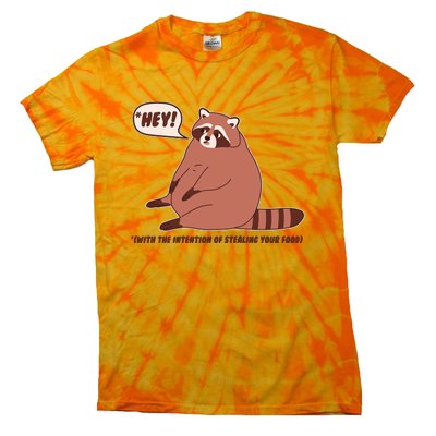 Funny Hey Fat Raccoon Stealing Your Food Tie-Dye T-Shirt