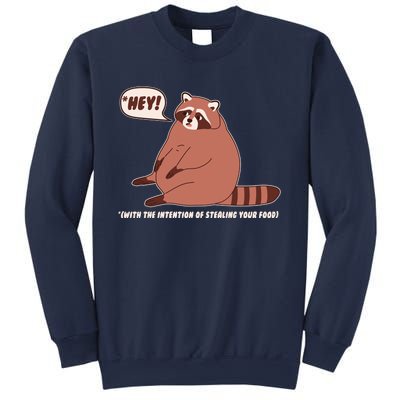 Funny Hey Fat Raccoon Stealing Your Food Sweatshirt