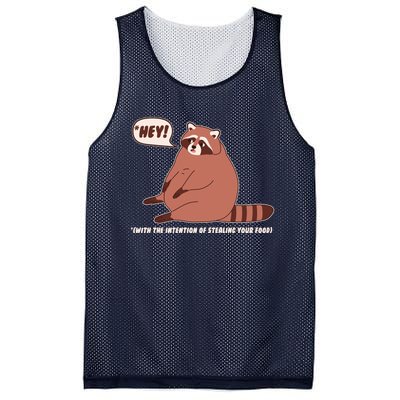 Funny Hey Fat Raccoon Stealing Your Food Mesh Reversible Basketball Jersey Tank