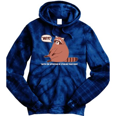 Funny Hey Fat Raccoon Stealing Your Food Tie Dye Hoodie