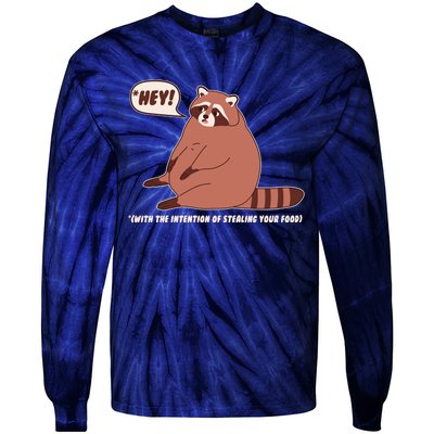 Funny Hey Fat Raccoon Stealing Your Food Tie-Dye Long Sleeve Shirt