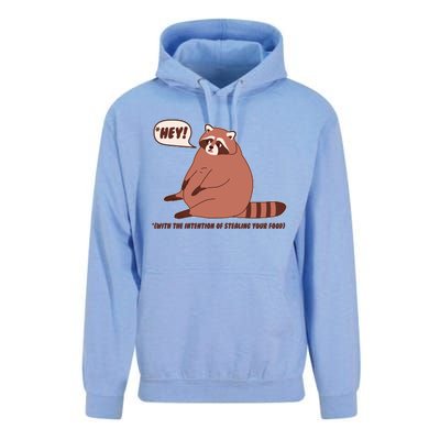 Funny Hey Fat Raccoon Stealing Your Food Unisex Surf Hoodie