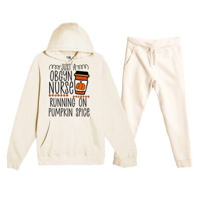 Funny Halloween Fall Pumpkin Spice Obgyn Gynecology Nurse Gift Premium Hooded Sweatsuit Set