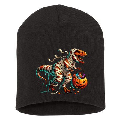 Funny Halloween For Boy T Rex Dinosaur Mummy Costume Short Acrylic Beanie