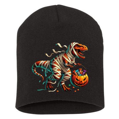 Funny Halloween For Boy T Rex Dinosaur Mummy Costume Short Acrylic Beanie