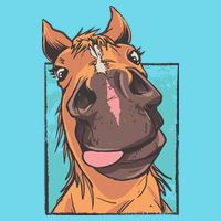 Funny Horse Face Premium T-Shirt