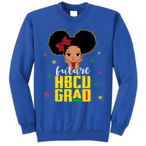 Future Hbcu Grad Graduation Historically Black College Gift Tall Sweatshirt