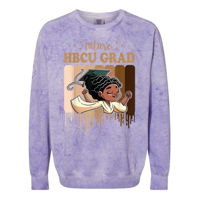 Future HBCU Grad History Black College Colorblast Crewneck Sweatshirt