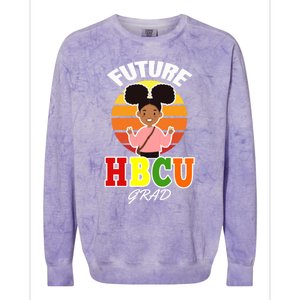 Future Hbcu Grad Graduation Historically Black College Funny Gift Colorblast Crewneck Sweatshirt