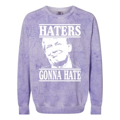 Funny Haters Gonna Hate Donald Trump Gift Presidenmeaningful Gift Colorblast Crewneck Sweatshirt