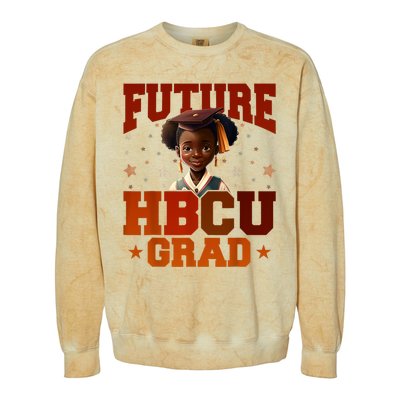 Future HBCU Grad History Black College Colorblast Crewneck Sweatshirt