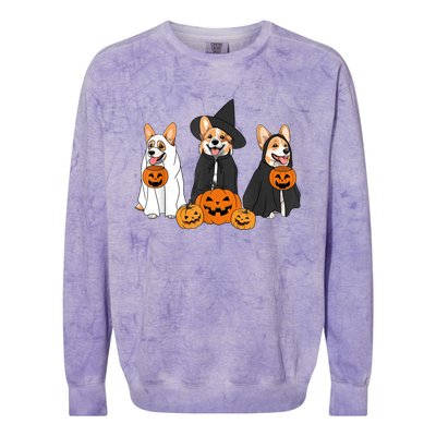 Funny Halloween Ghost Dog Pumpkin Spooky Season Colorblast Crewneck Sweatshirt