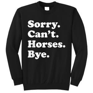 Funny Horse Gift For Men Women Boys Or Girls Sweatshirt