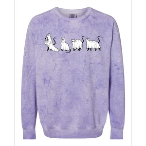 Funny Halloween Ghost Cats Colorblast Crewneck Sweatshirt