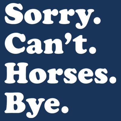 Funny Horse Gift For Men Women Boy Or Girl T-Shirt