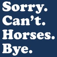 Funny Horse Gift For Men Women Boy Or Girl Premium T-Shirt