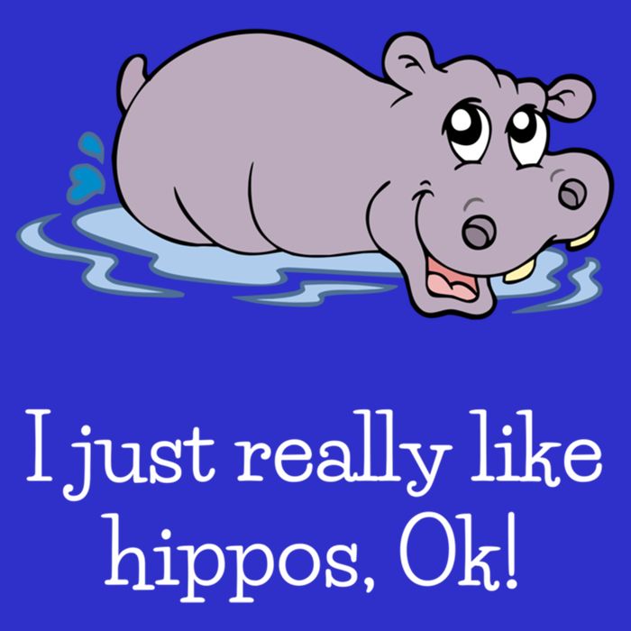 Funny Hippo Gift Just Really Like Hippos Ok! Hippopotamus Cool Gift 16 in Basic Backpack