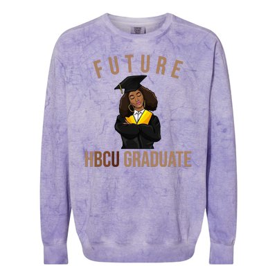 Future HBCU Graduate Historical Black College Colorblast Crewneck Sweatshirt