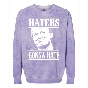 Funny Haters Gonna Hate Donald Trump Gift Presidengreat Gift Colorblast Crewneck Sweatshirt