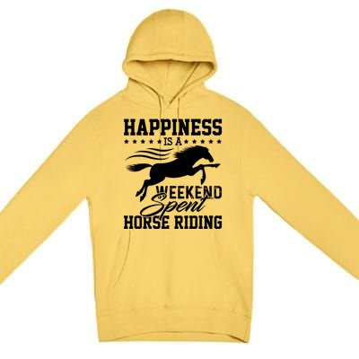 Funny Horse Horse Horse Riding Gift Premium Pullover Hoodie