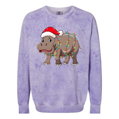 Festive Hippopotamus Hat for Christmas Lovers Colorblast Crewneck Sweatshirt