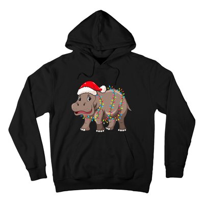 Festive Hippopotamus Hat for Christmas Lovers Hoodie