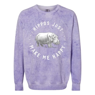 Funny Hippopotamus Hippo Lover Hippos Make Me Happy Colorblast Crewneck Sweatshirt