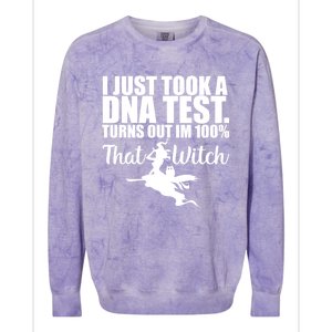 Funny Halloween Im 100% Percent That Witch Gift Colorblast Crewneck Sweatshirt