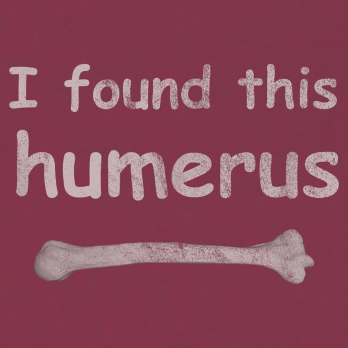 Funny Humorous I Found This Humerus Bone 16oz Travel Tumbler