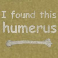 Funny Humorous I Found This Humerus Bone Garment-Dyed Women's Muscle Tee