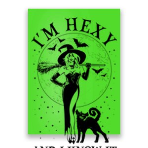 Funny Halloween I'm Hexy And I Know It Sexy Witch Poster