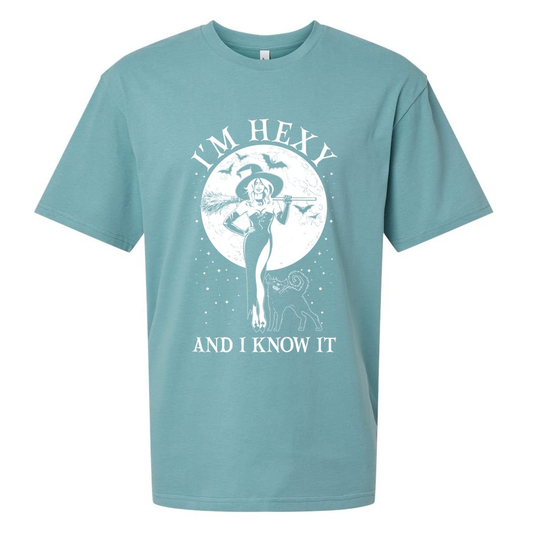 Funny Halloween I'm Hexy And I Know It Sexy Witch Sueded Cloud Jersey T-Shirt