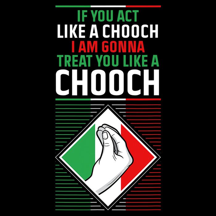 Funny Humor Italian Quote Slang Fun Italy Sayings Jokes Puns Premium T-Shirt