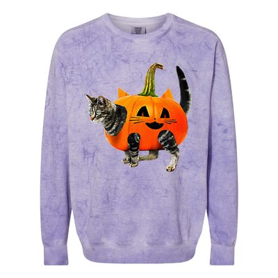 Funny Halloween Jack O Lantern Pumpkin Cat Colorblast Crewneck Sweatshirt