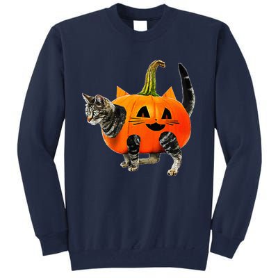 Funny Halloween Jack O Lantern Pumpkin Cat Tall Sweatshirt