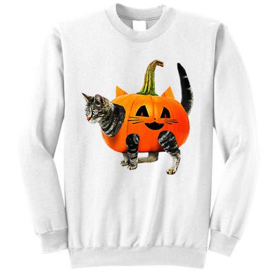 Funny Halloween Jack O Lantern Pumpkin Cat Sweatshirt