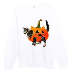 Funny Halloween Jack O Lantern Pumpkin Cat Premium Crewneck Sweatshirt