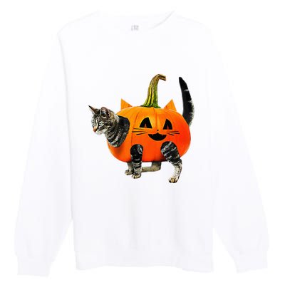 Funny Halloween Jack O Lantern Pumpkin Cat Premium Crewneck Sweatshirt