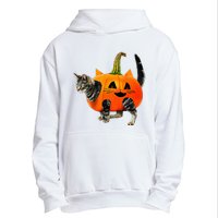 Funny Halloween Jack O Lantern Pumpkin Cat Urban Pullover Hoodie