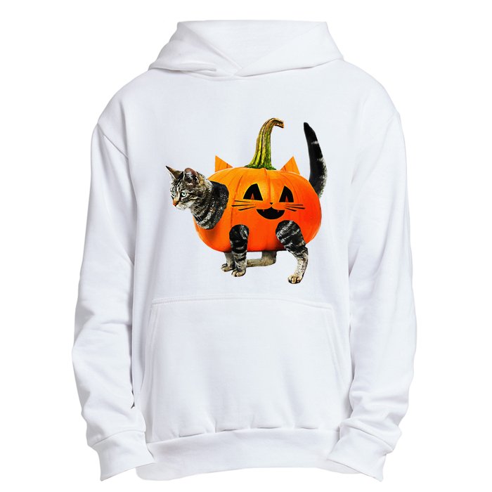 Funny Halloween Jack O Lantern Pumpkin Cat Urban Pullover Hoodie