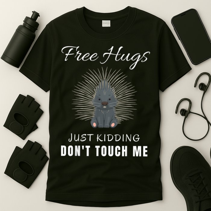 Free Hugs Just Ding Don't Touch Me, Porcupine, Introvert T-Shirt