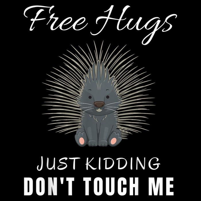 Free Hugs Just Ding Don't Touch Me, Porcupine, Introvert T-Shirt