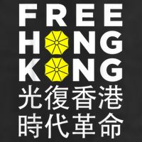 Free Hong Kong Gift Adult Drive Performance Visor