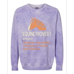 Fun Horse Lover Humor Funny Horse Definition Colorblast Crewneck Sweatshirt